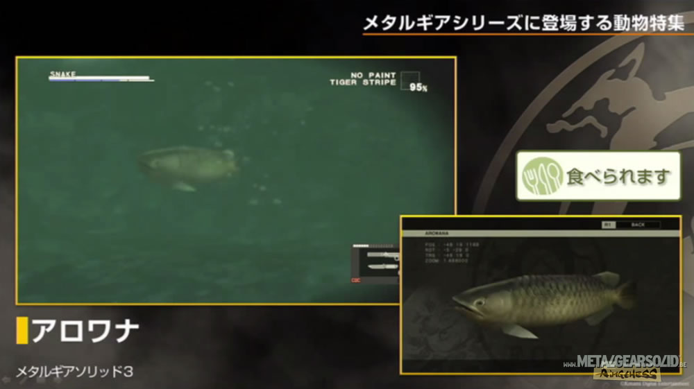 Kojima Station : Les animaux dans Metal Gear (Solid)