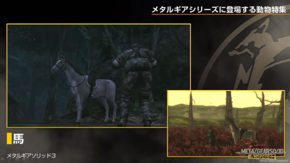 Kojima Station : Les animaux dans Metal Gear (Solid)