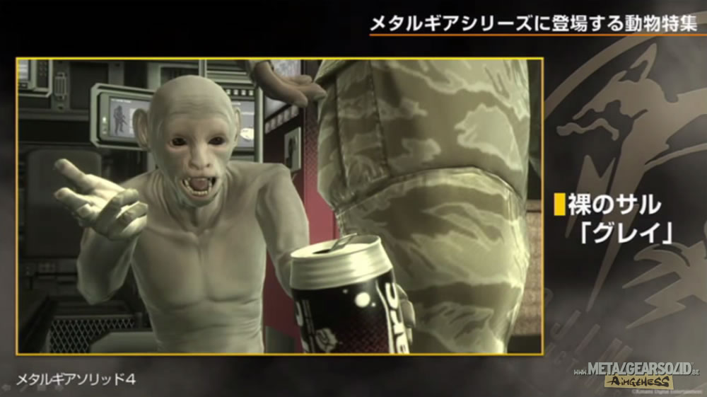 Kojima Station : Les animaux dans Metal Gear (Solid)