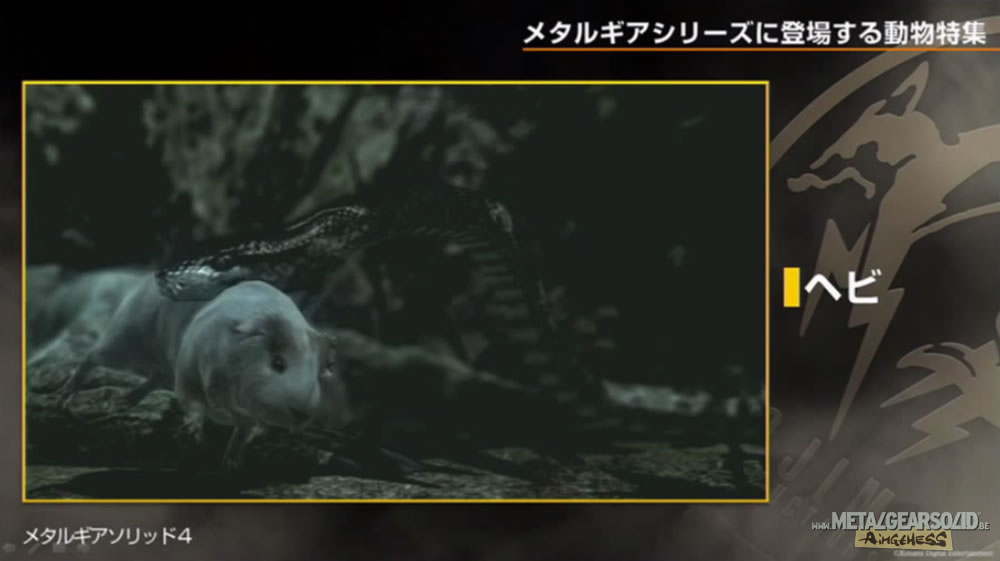 Kojima Station : Les animaux dans Metal Gear (Solid)