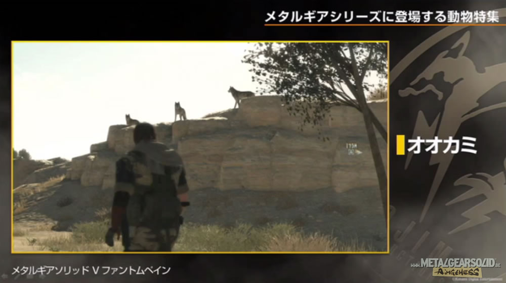 Kojima Station : Les animaux dans Metal Gear (Solid)