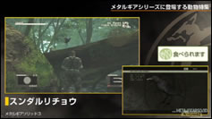 Kojima Station : Les animaux dans Metal Gear (Solid)