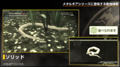 Kojima Station : Les animaux dans Metal Gear (Solid)