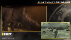 Kojima Station : Les animaux dans Metal Gear (Solid)