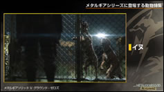 Kojima Station : Les animaux dans Metal Gear (Solid)