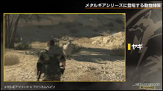 Kojima Station : Les animaux dans Metal Gear (Solid)