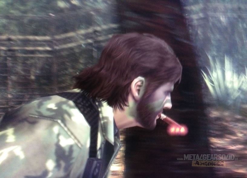 Bug Metal Gear Solid HD Collection le cigare de Naked Snake dans MGS3