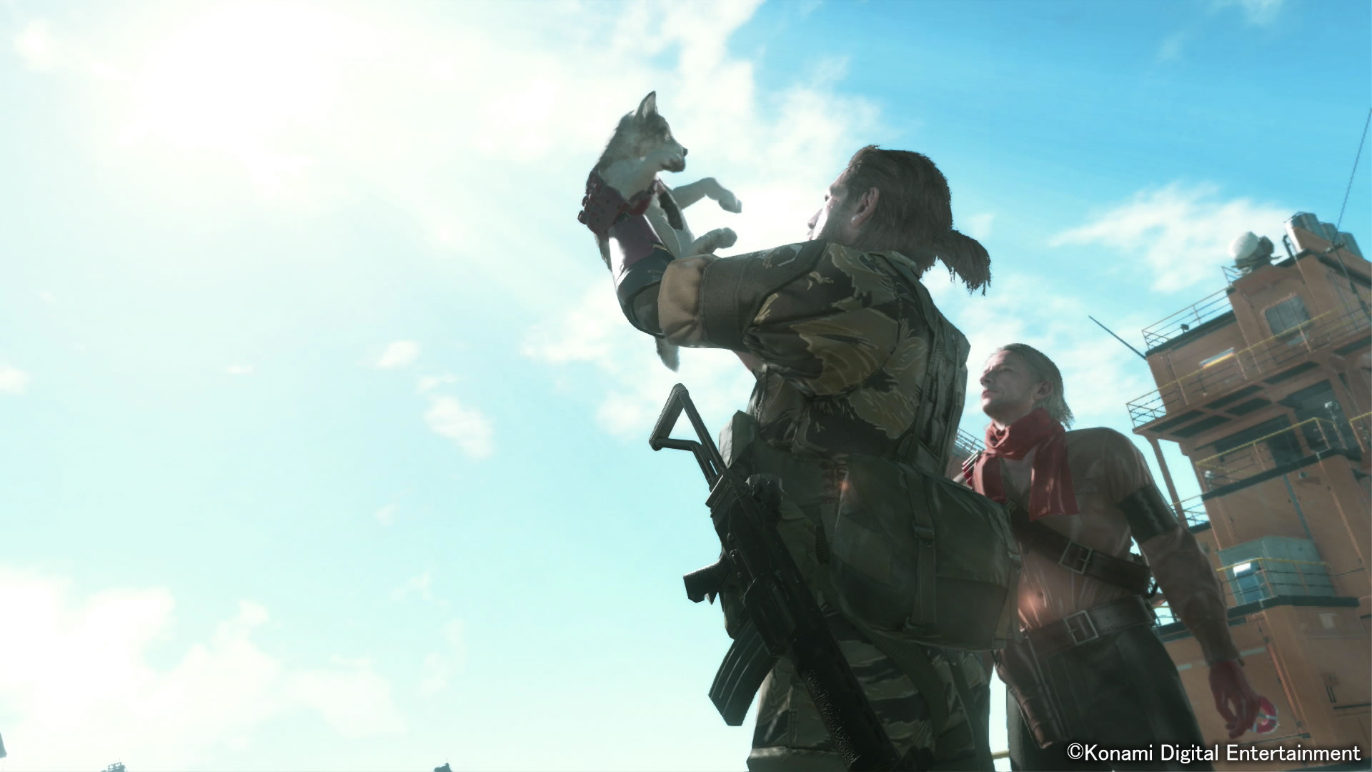 DD, le chien de Big Boss, s'illustre en images