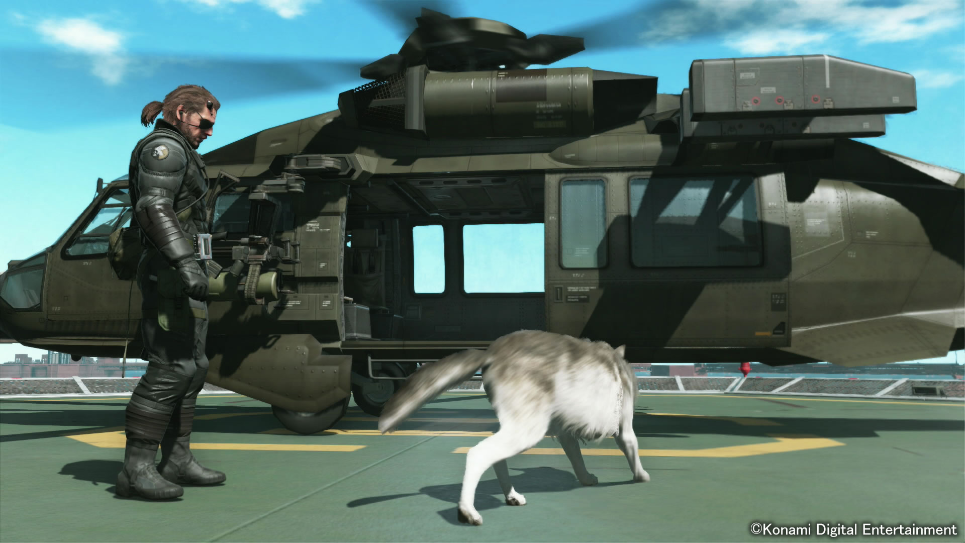 DD, le chien de Big Boss, s'illustre en images