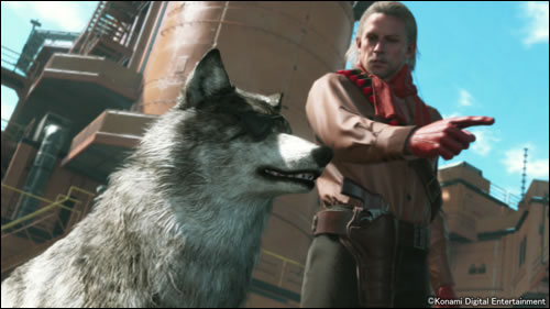 DD, le chien de Big Boss, s'illustre en images