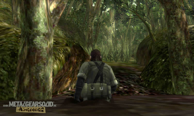 metal-gear-solid-snake-eater-3d-gc11-02.jpg
