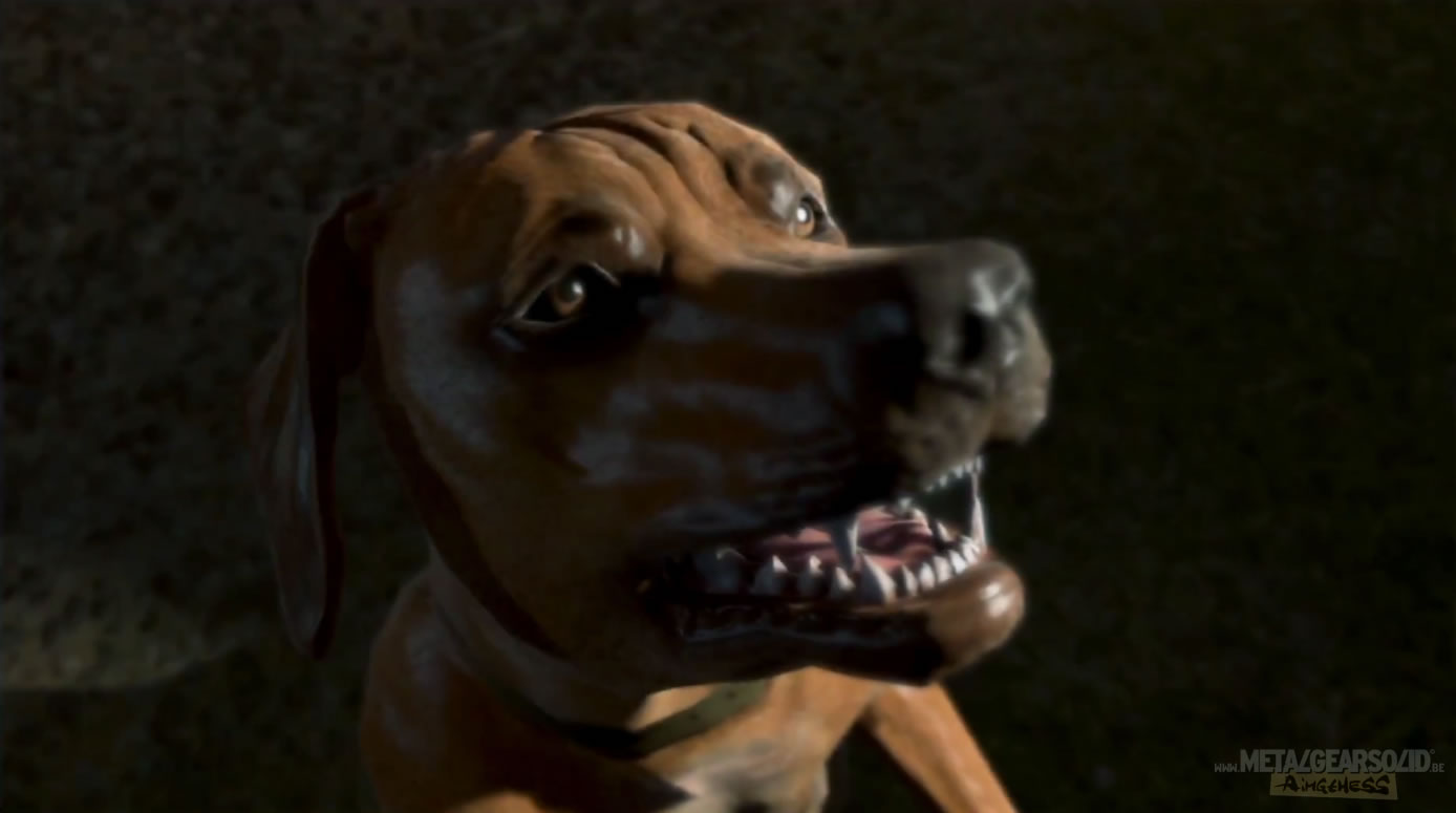 O sont donc passs les chiens dans Metal Gear Solid V : Ground Zeroes ?