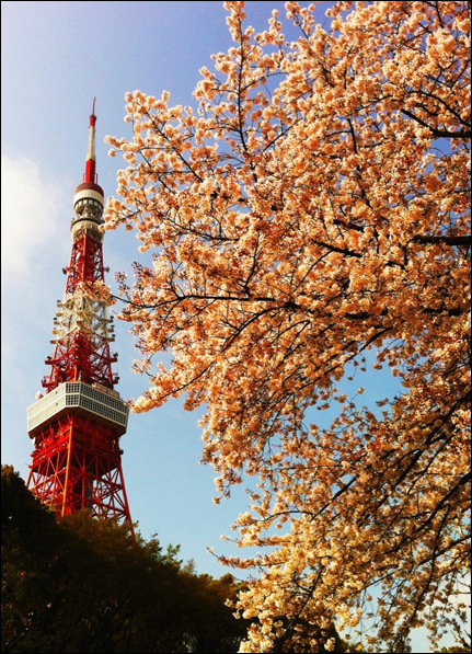 Sakura Tower Hideo Kojima